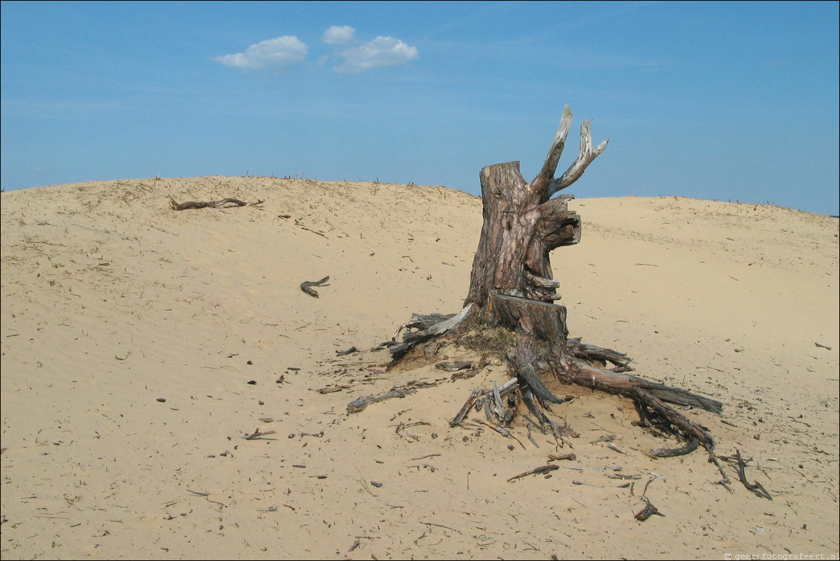 hoge veluwe